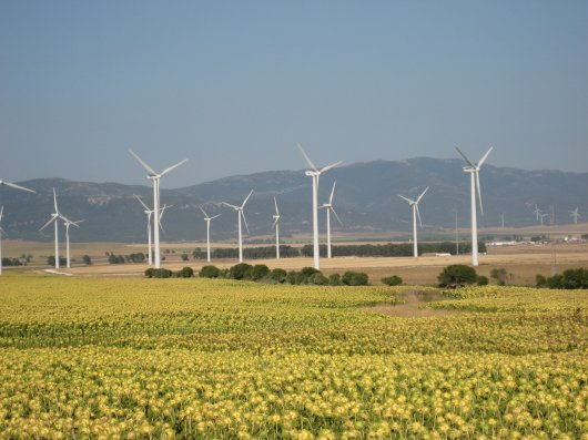 Windmills in the middle of farmland in Spain, outside a place called Zahara de los Atunes. Credit: Nick Barter 